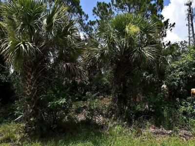 SAGO PALM ROAD