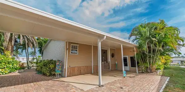 46 ALLIGATOR AVENUE