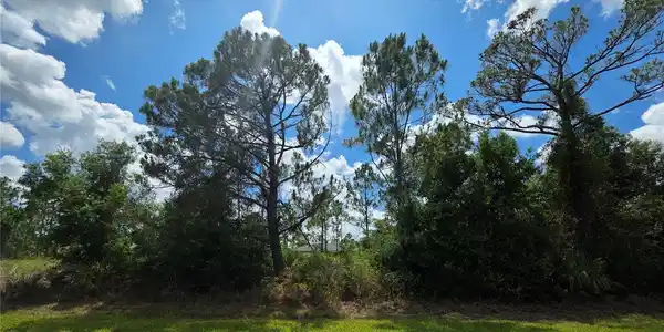 Image 2 Image 2