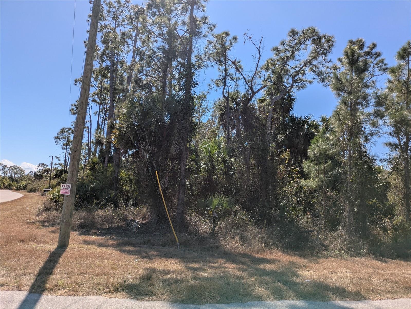 Image 1 Image 1