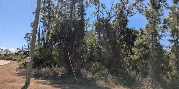 Image 3 Image 3