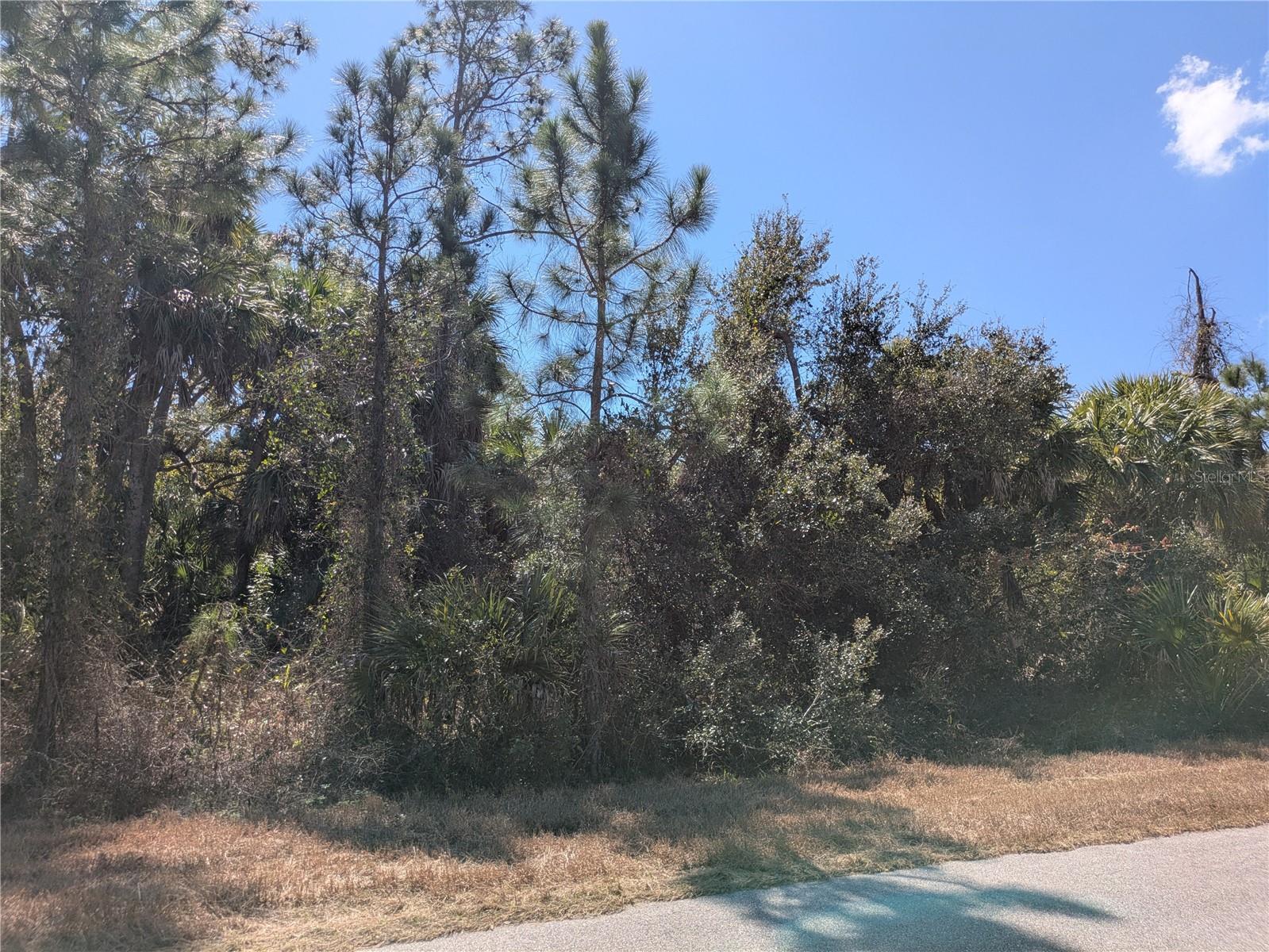 Image 4 Image 4