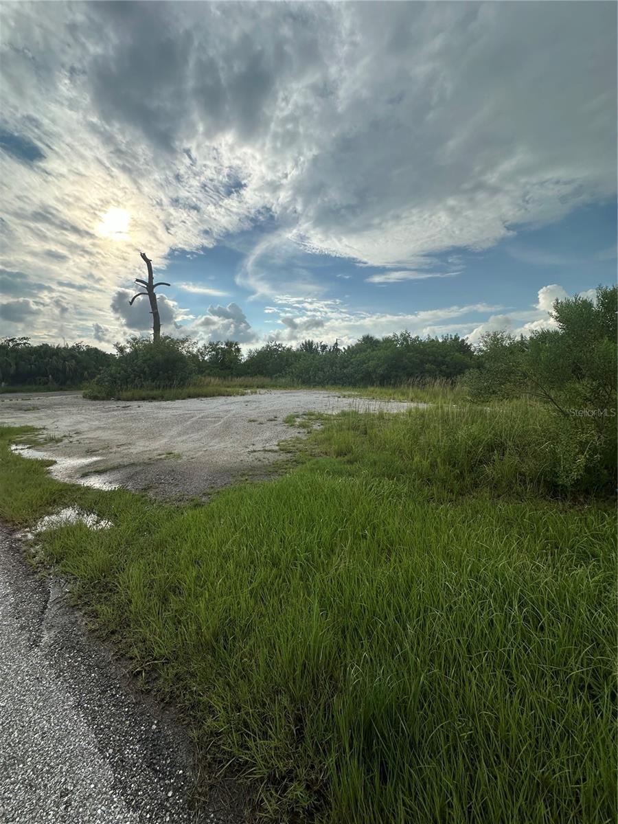 Image 4 Image 4