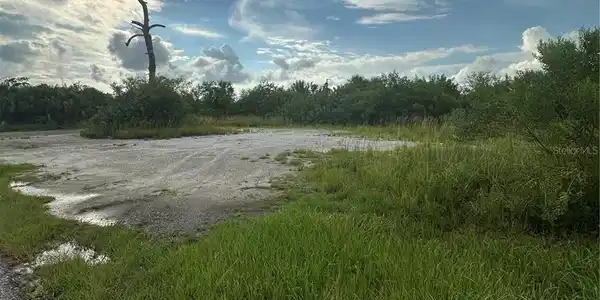 Image 4 Image 4