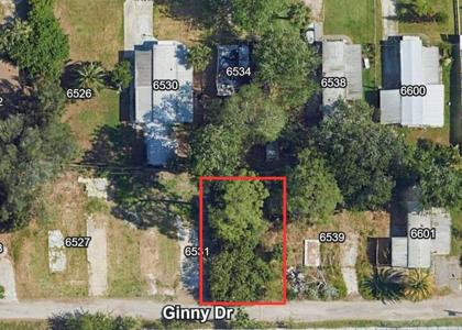 GINNY DRIVE