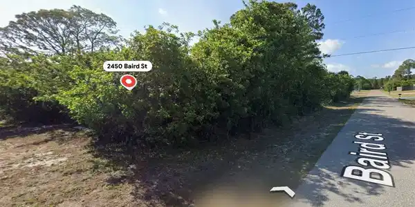 Image 3 Image 3