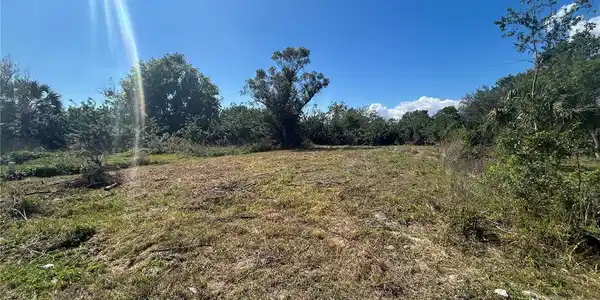 5445 MAZE DRIVE