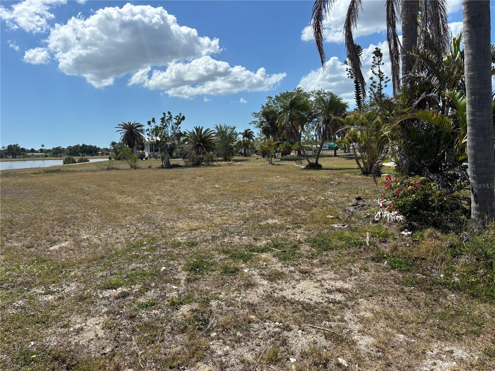 Image 4 Image 4