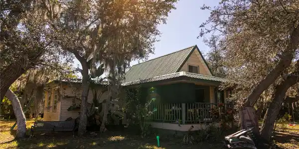 29199 LIVINGSTON DRIVE