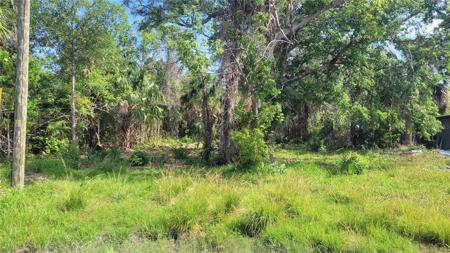 Lot 40 NEEDLES DRIVE