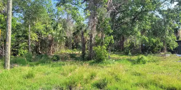 Lot 40 NEEDLES DRIVE