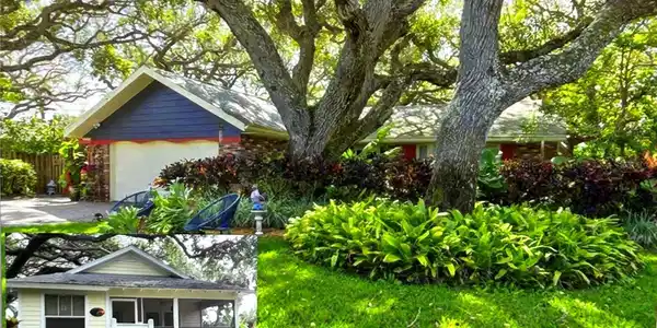 4426 SAXON DRIVE