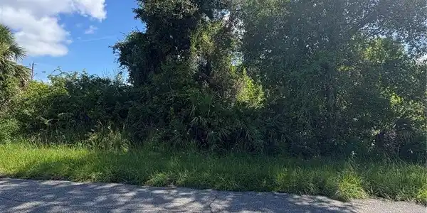 Image 4 Image 4