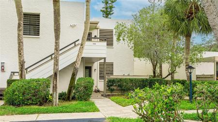 333 SPRINGDALE DRIVE