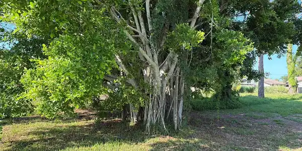 Image 4 Image 4