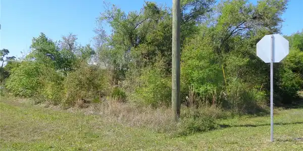 Image 4 Image 4