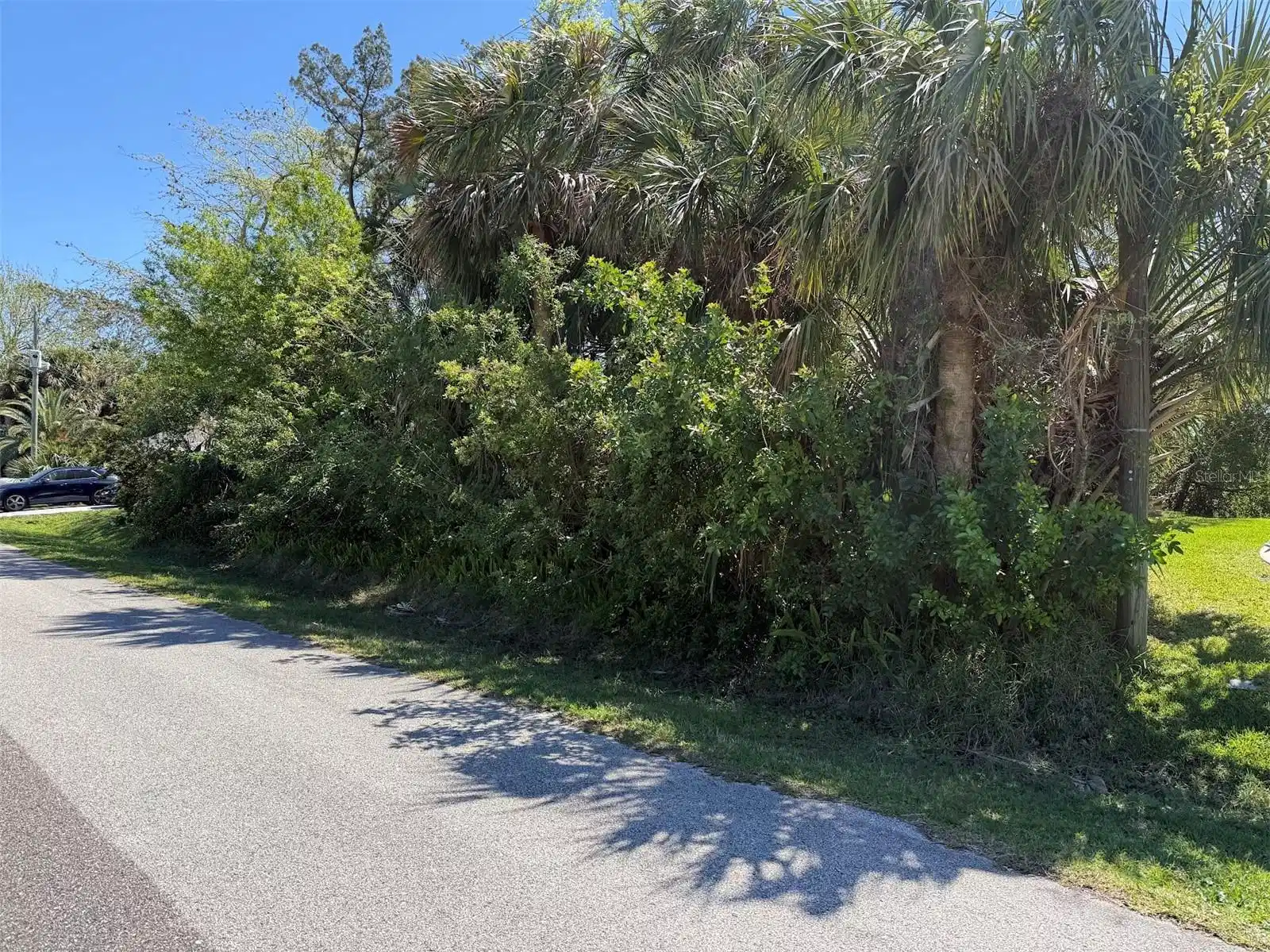 Image 1 Image 1