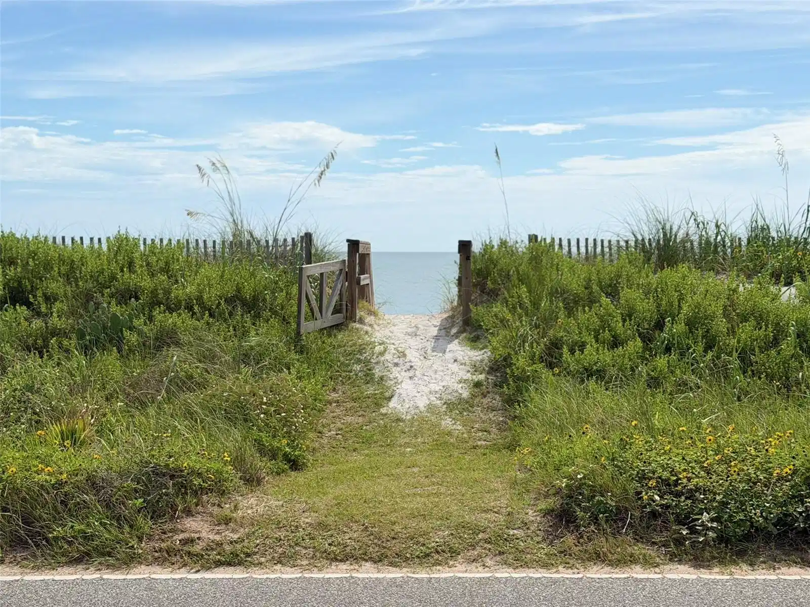 Image 1 Image 1