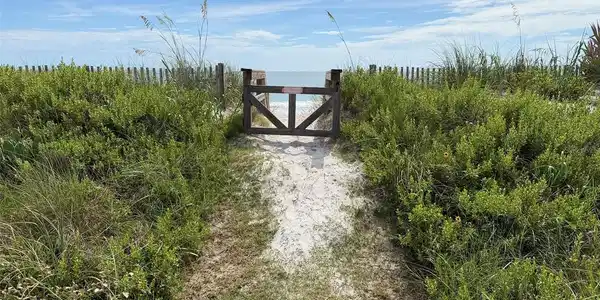 Image 4 Image 4