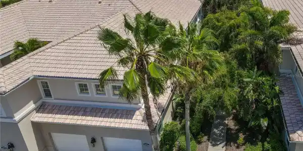 3000 IBIS WAY