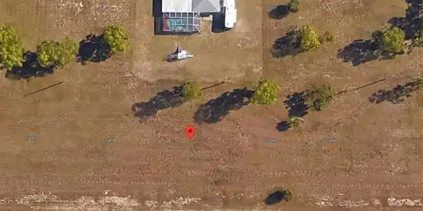 Image 4 Image 4
