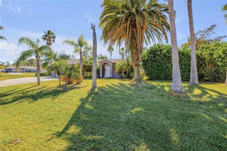 3330 QUEEN PALM DRIVE