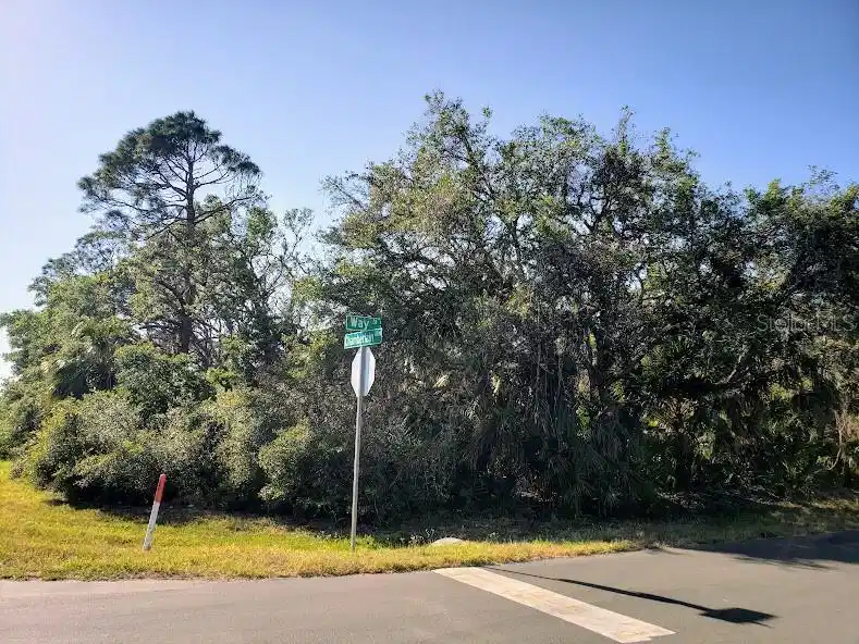 Image 1 Image 1