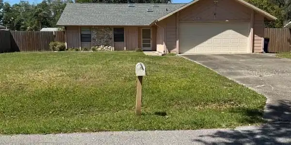 2516 PINE TREE