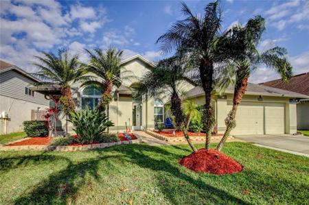 10026 OASIS PALM DRIVE