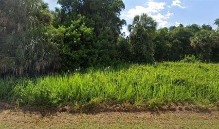 LOT 31 ELIAS CIRCLE