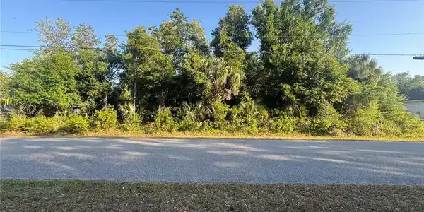 Image 4 Image 4