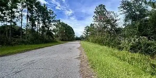 Image 4 Image 4