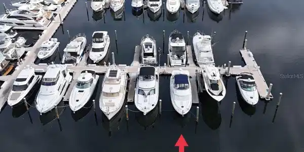 Image 4 Image 4
