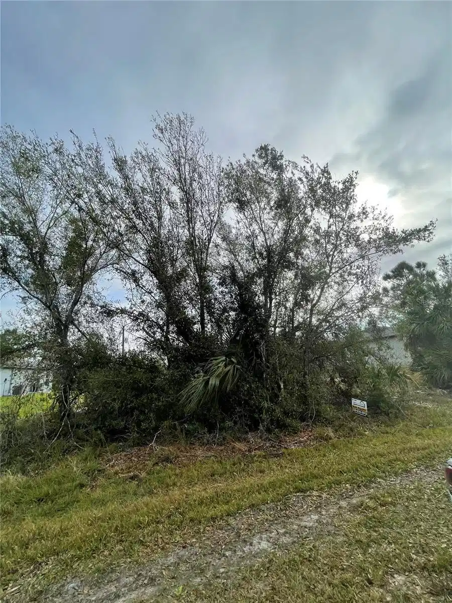 Image 1 Image 1