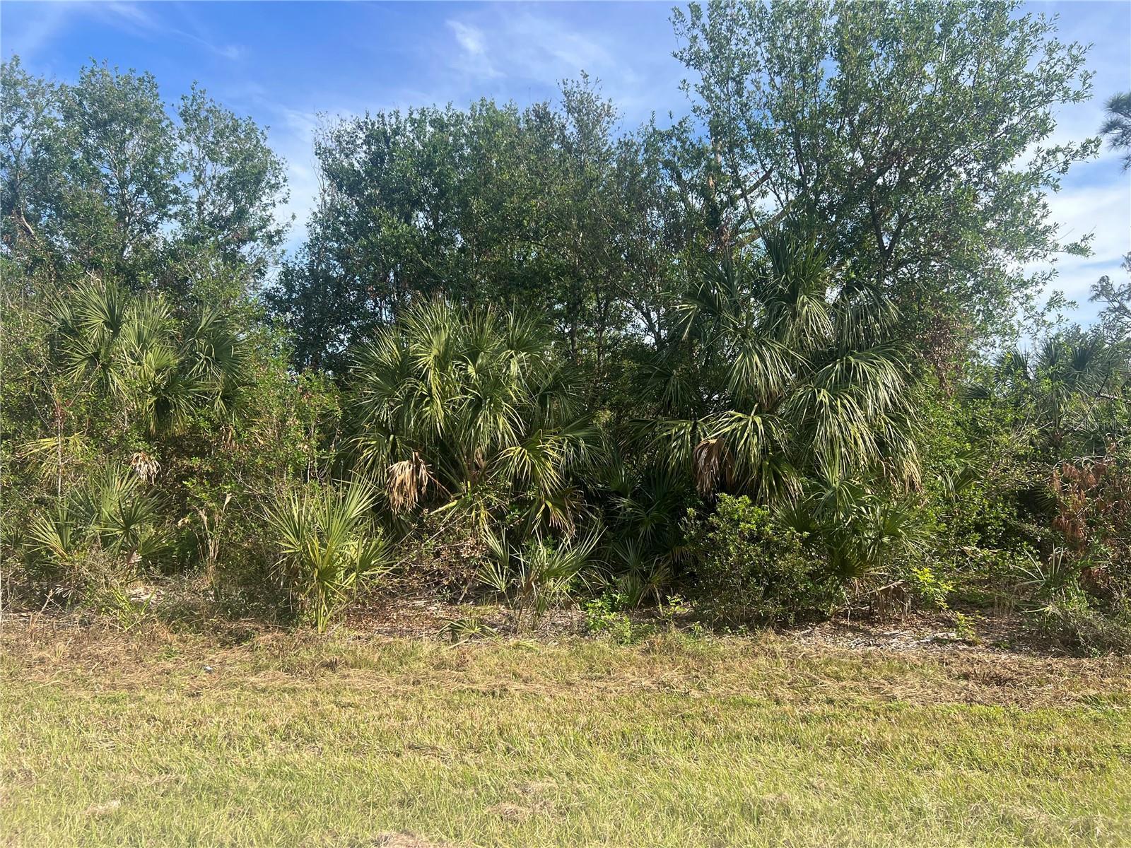 Image 1 Image 1