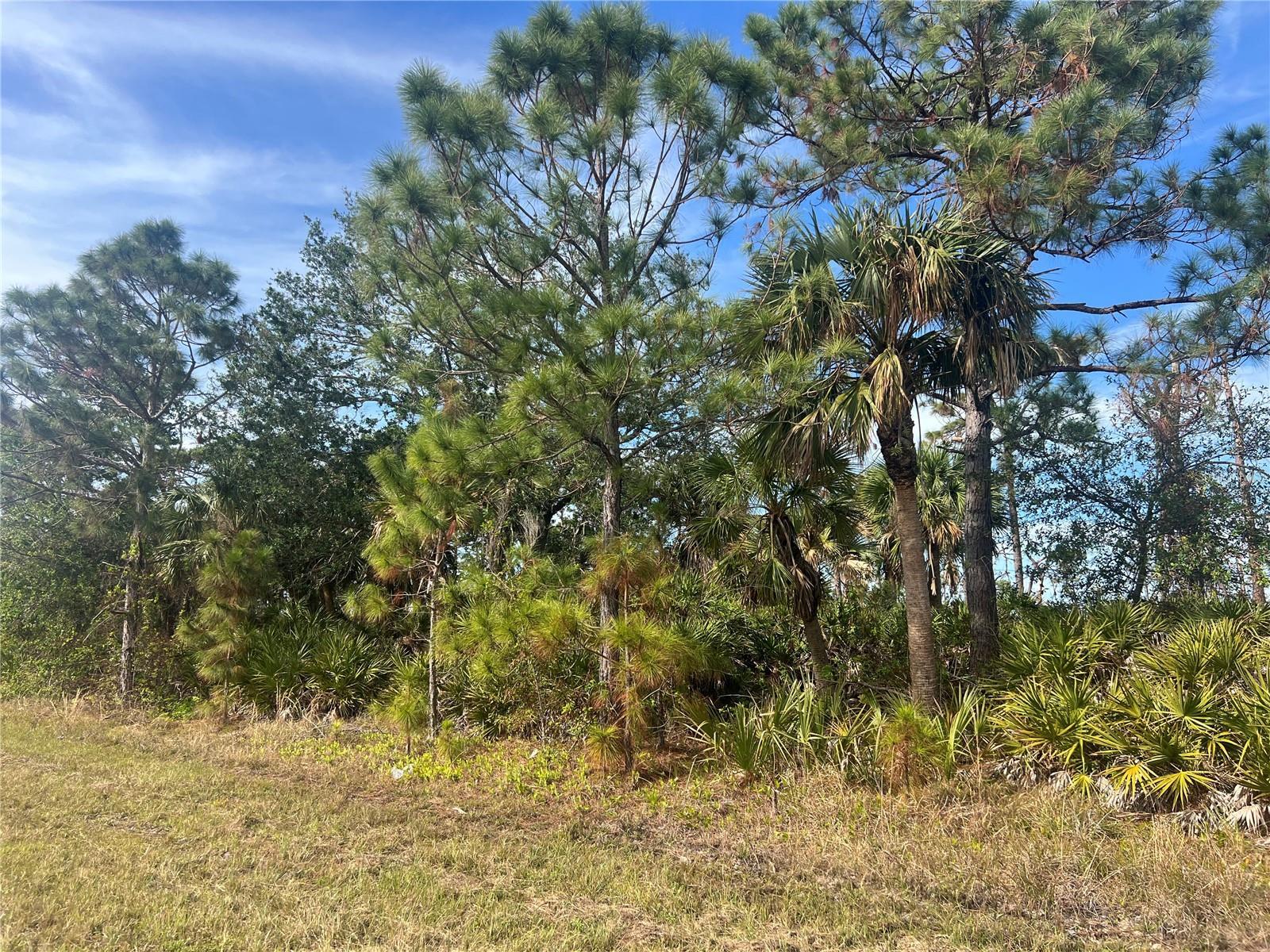 Image 1 Image 1