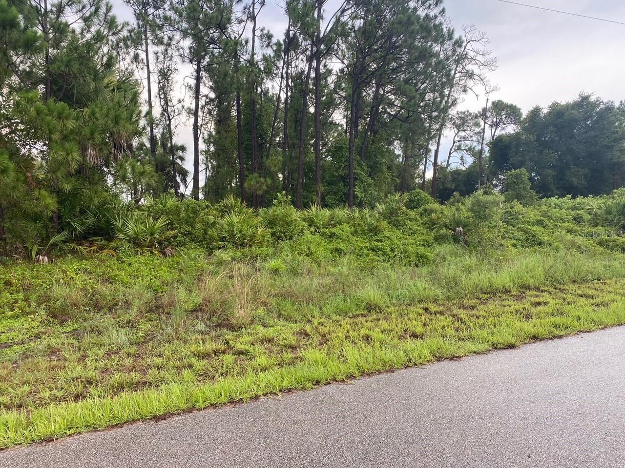 Image 1 Image 1