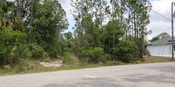 Image 4 Image 4