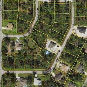 CAZLER AVENUE