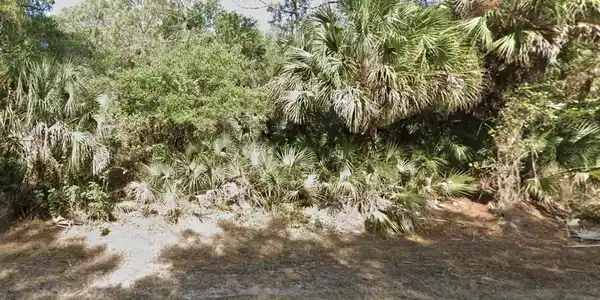 541 ADALIA TERRACE