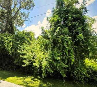 MUNCEY ROAD