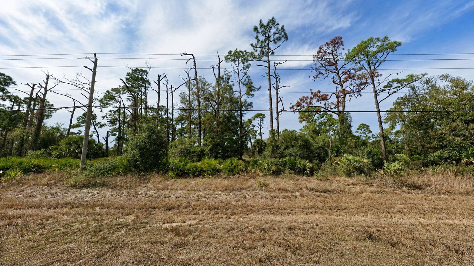 Image 1 Image 1
