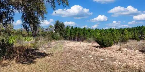 Image 3 Image 3