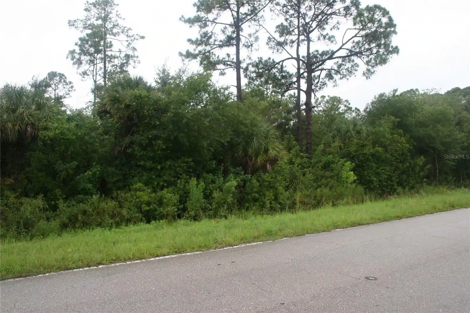 Image 1 Image 1