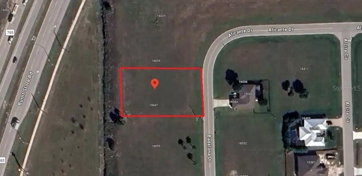 Image 1 Image 1