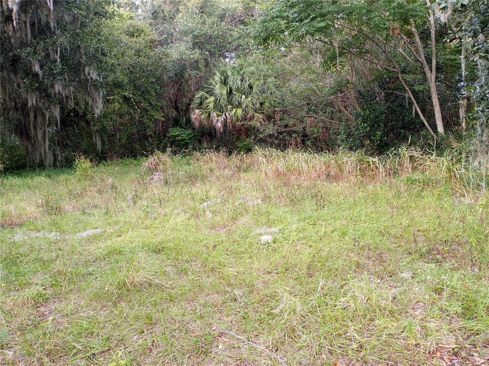 Image 2 Image 2