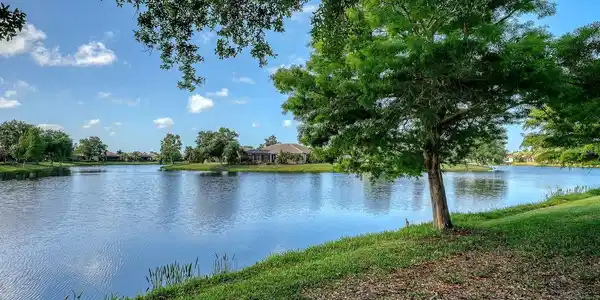 1348 THORNAPPLE DRIVE