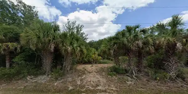 Image 3 Image 3