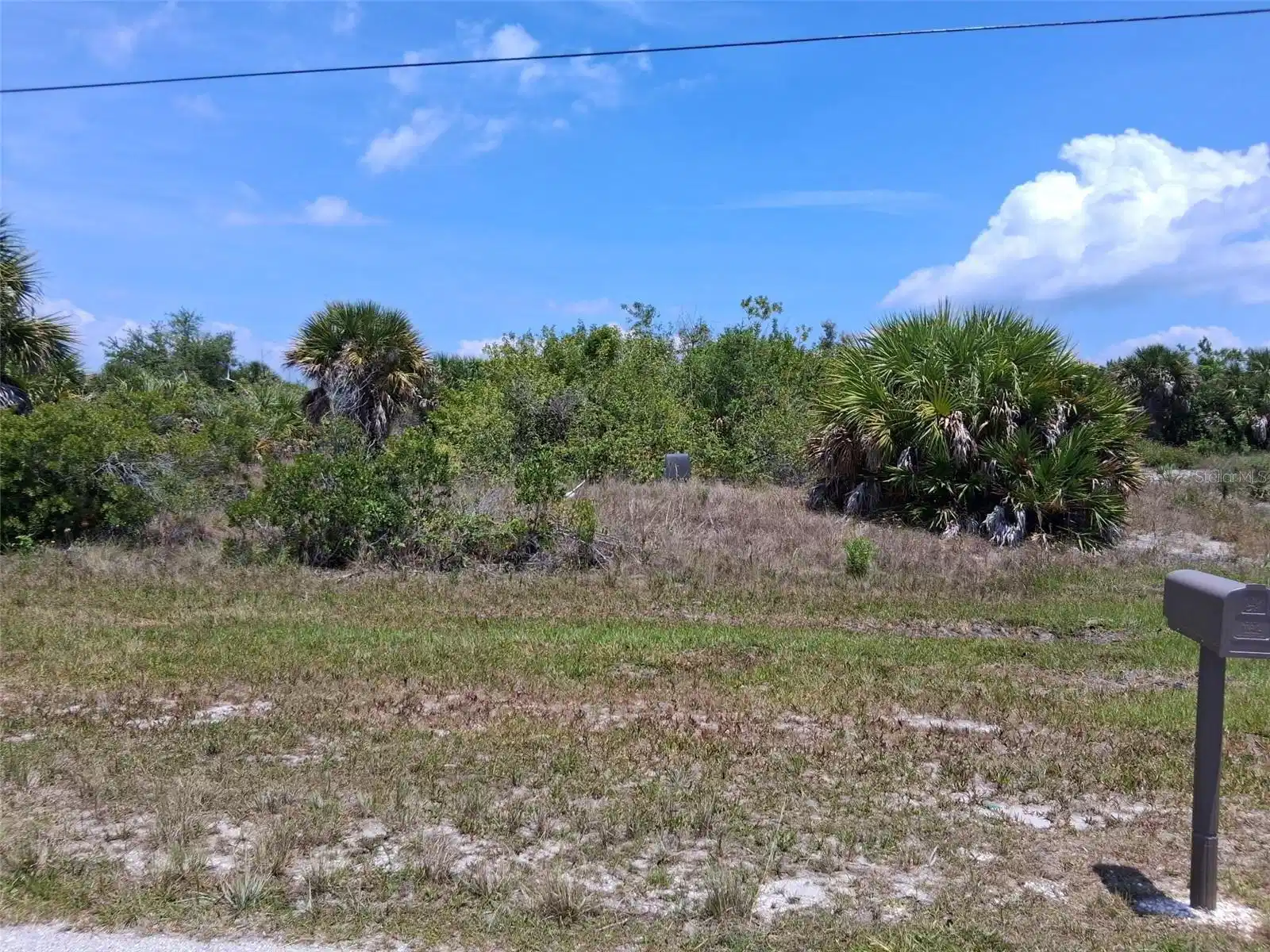 Image 1 Image 1