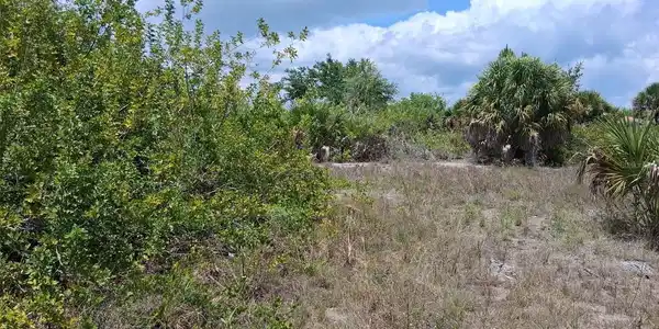 Image 4 Image 4